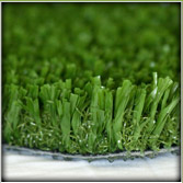 Pet Turf