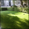 pet synthetic grass temecula