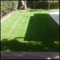 artificial grass installers